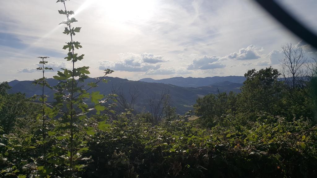 Agriturismo Ca' Di Mazza 몬주노 외부 사진
